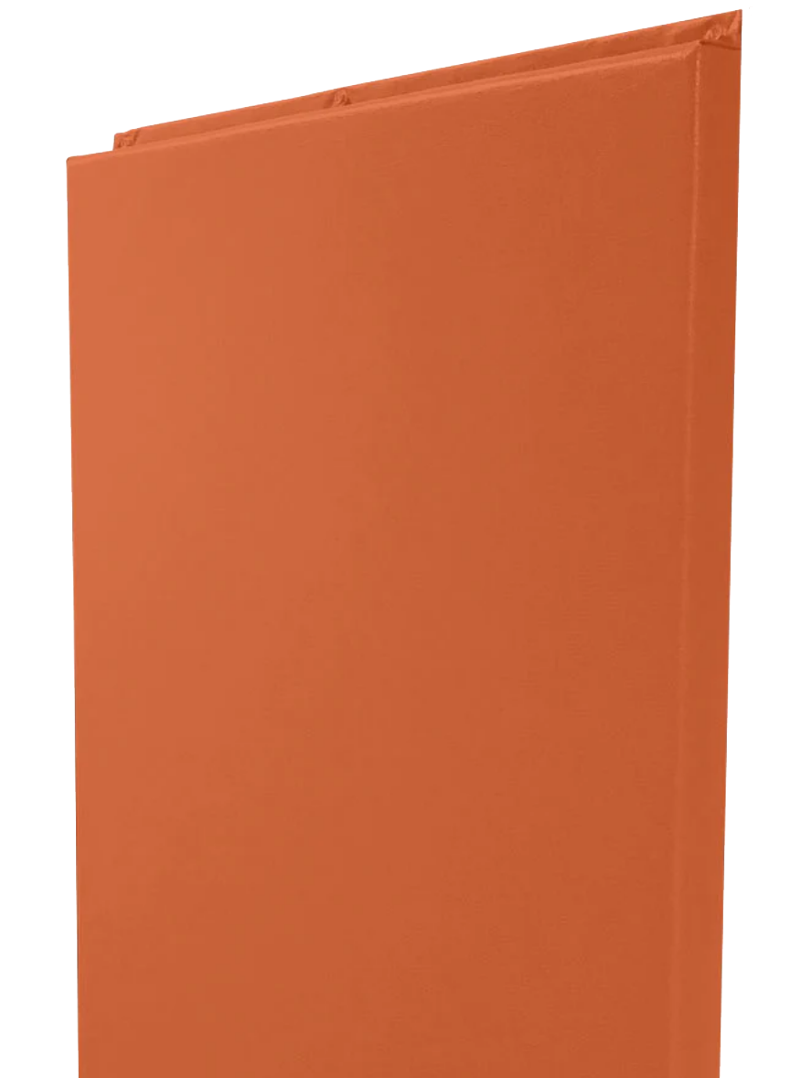 CUSTOM WOOD BACKED GYM WALL PADDING PANELS 2' X 4'