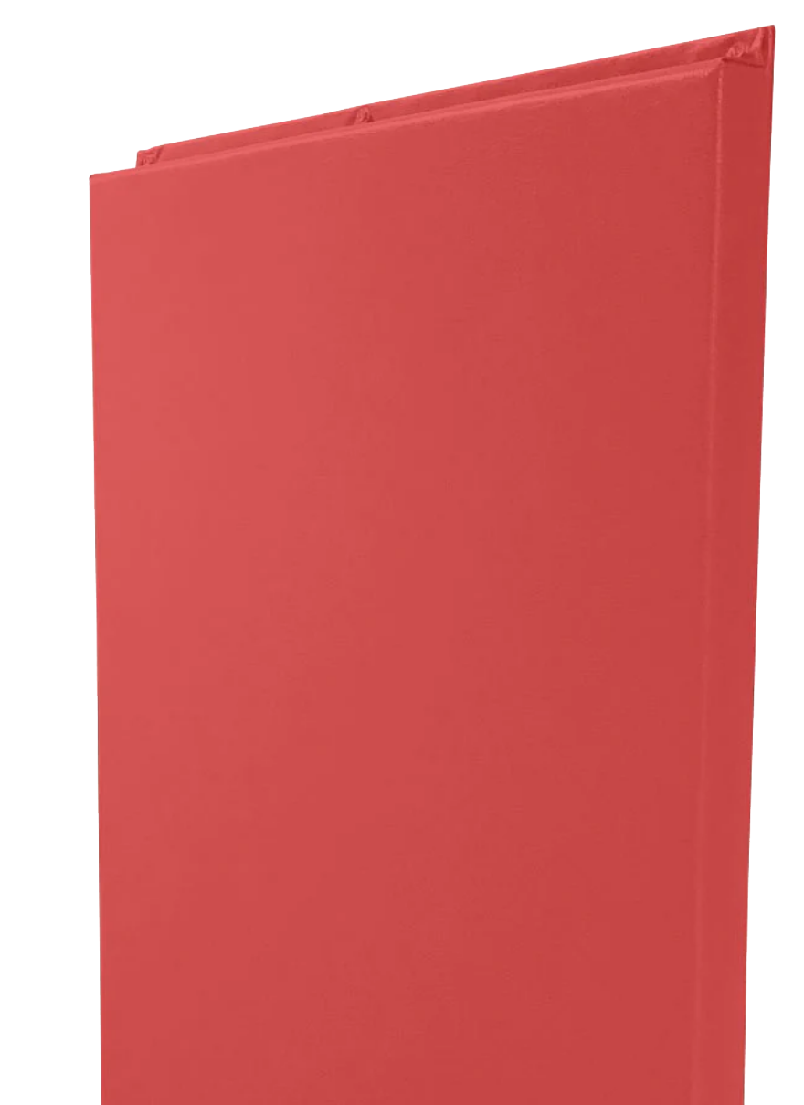 CUSTOM WOOD BACKED GYM WALL PADDING PANELS 2' X 8'