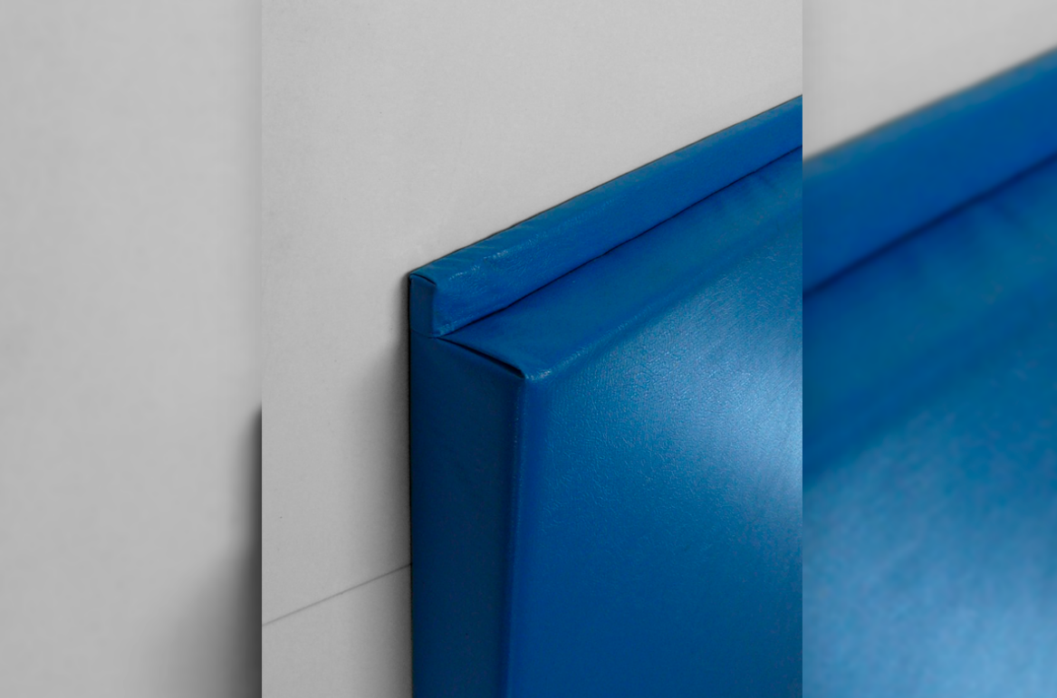 CUSTOM WOOD BACKED GYM WALL PADDING PANELS 2' X 4'