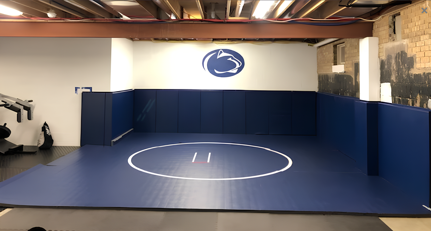 CUSTOM WOOD BACKED GYM WALL PADDING PANELS 2' X 4'