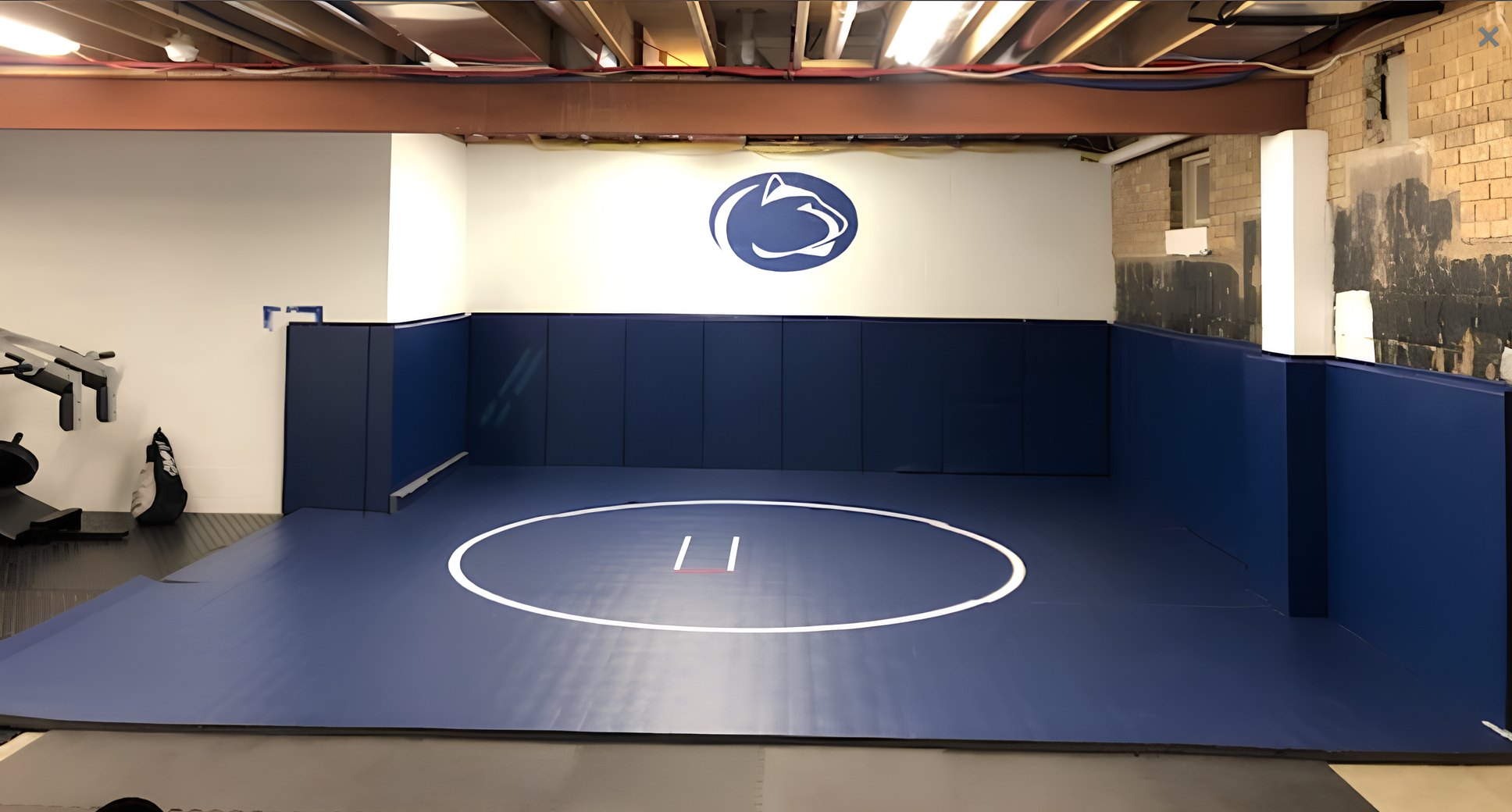 CUSTOM WOOD BACKED GYM WALL PADDING PANELS 2' X 4'