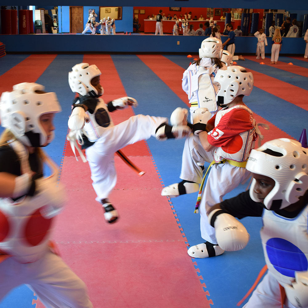 Pro Taekwondo Martial Arts Mats 20 mm x 1x1 Meter